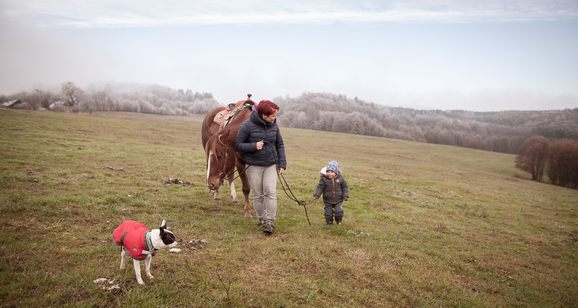 Rodina s koněm a psy - Rodinné focení