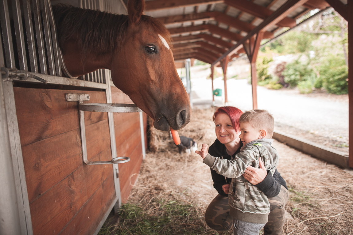 Krmení koně – rodinné focení