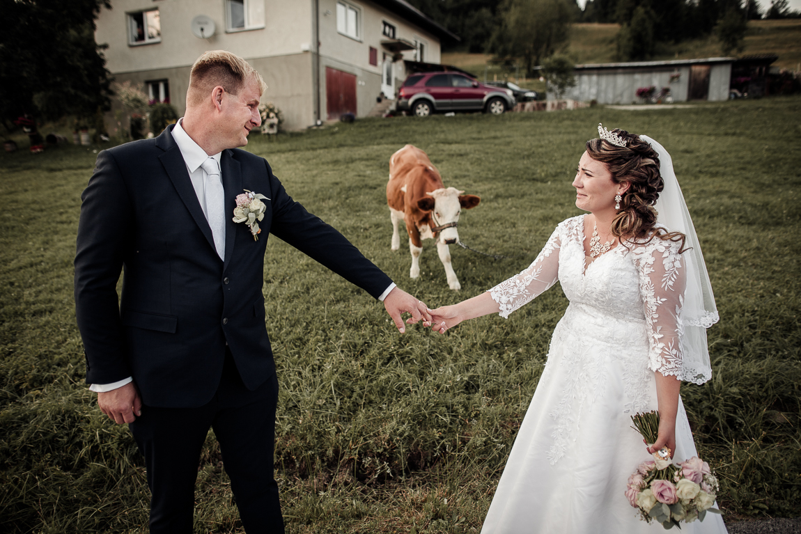 Portrét s krávou - Svatební fotografie